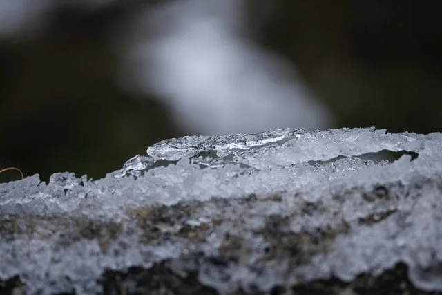 Jak przygotować oczko wodne na zimę?